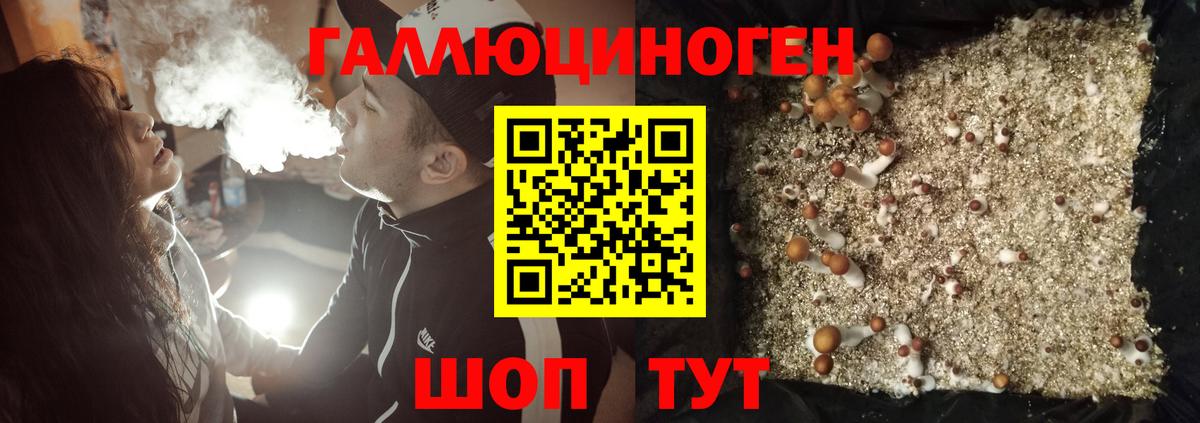 Дзержинск  Галлюциногенные грибы GOLDEN TEACHER  купить   Вход с VPN 